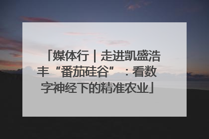媒体行｜走进凯盛浩丰“番茄硅谷”：看数字神经下的精准农业