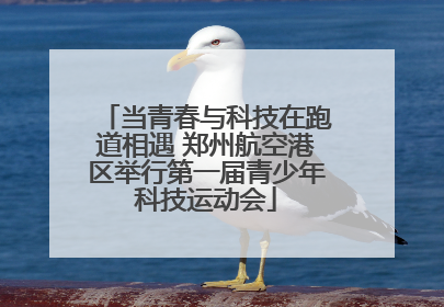 当青春与科技在跑道相遇 郑州航空港区举行第一届青少年科技运动会