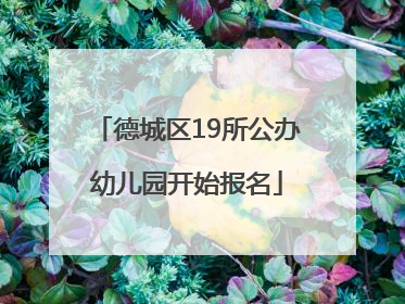 德城区19所公办幼儿园开始报名