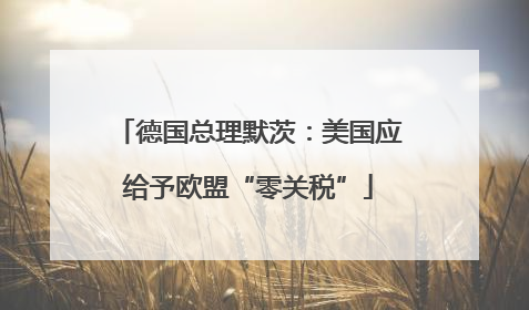 德国总理默茨：美国应给予欧盟“零关税”