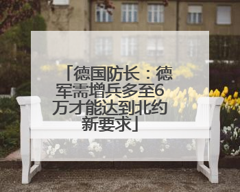 德国防长：德军需增兵多至6万才能达到北约新要求
