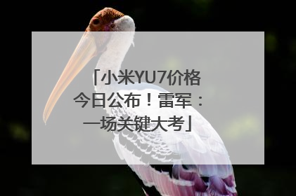 小米YU7价格今日公布！雷军：一场关键大考
