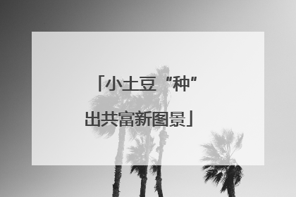 小土豆“种”出共富新图景