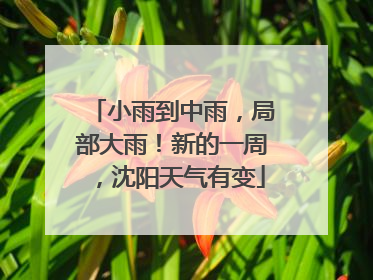 小雨到中雨，局部大雨！新的一周，沈阳天气有变