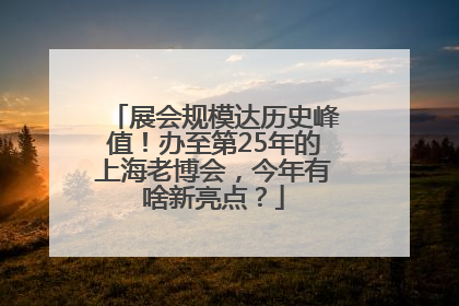 展会规模达历史峰值！办至第25年的上海老博会，今年有啥新亮点？