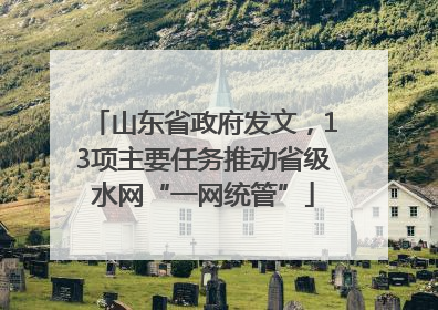 山东省政府发文，13项主要任务推动省级水网“一网统管”
