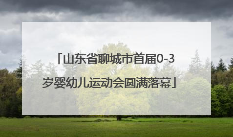 山东省聊城市首届0-3岁婴幼儿运动会圆满落幕