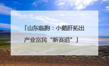山东临朐：小鹅肝拓出产业富民“新赛道”