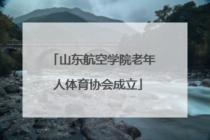 山东航空学院老年人体育协会成立
