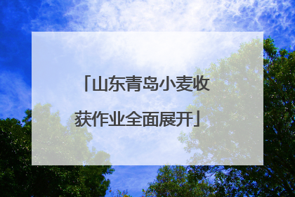 山东青岛小麦收获作业全面展开