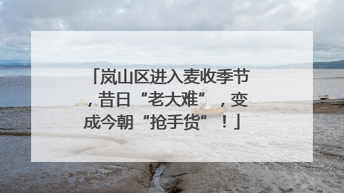 岚山区进入麦收季节，昔日“老大难”，变成今朝“抢手货”！