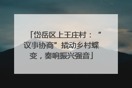 岱岳区上王庄村：“议事协商”撬动乡村蝶变，奏响振兴强音