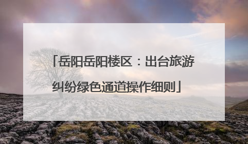 岳阳岳阳楼区：出台旅游纠纷绿色通道操作细则