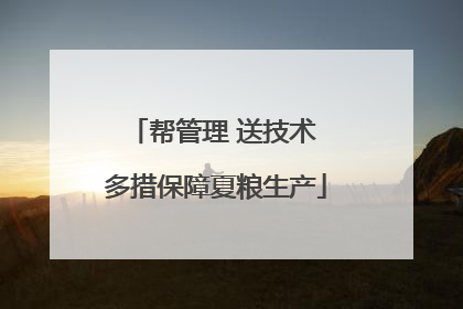 帮管理 送技术 多措保障夏粮生产