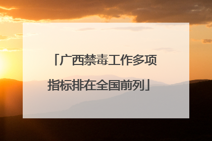 广西禁毒工作多项指标排在全国前列