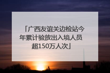广西友谊关边检站今年累计验放出入境人员超150万人次