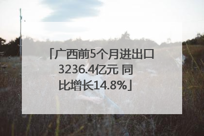 广西前5个月进出口3236.4亿元 同比增长14.8%