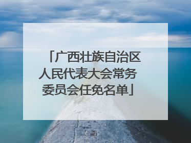 广西壮族自治区人民代表大会常务委员会任免名单