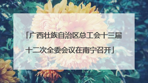 广西壮族自治区总工会十三届十二次全委会议在南宁召开