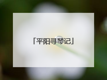平阳寻琴记