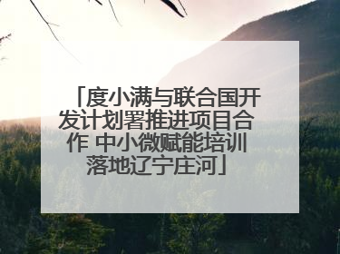 度小满与联合国开发计划署推进项目合作 中小微赋能培训落地辽宁庄河
