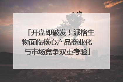 开盘即破发！派格生物面临核心产品商业化与市场竞争双重考验