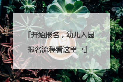 开始报名，幼儿入园报名流程看这里→
