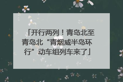 开行两列！青岛北至青岛北“青烟威半岛环行”动车组列车来了