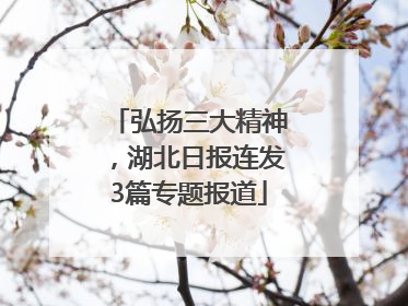 弘扬三大精神，湖北日报连发3篇专题报道