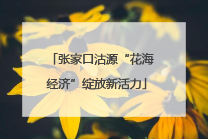 张家口沽源“花海经济”绽放新活力