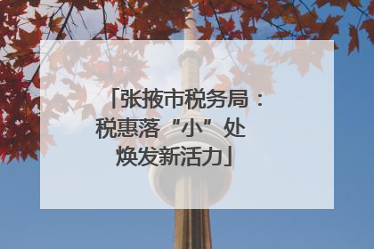 张掖市税务局：税惠落“小”处 焕发新活力