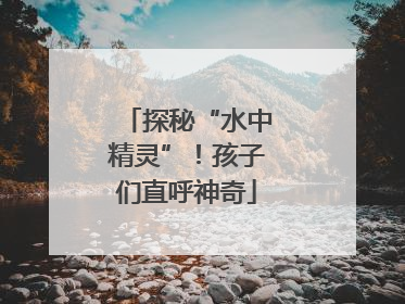 探秘“水中精灵”！孩子们直呼神奇