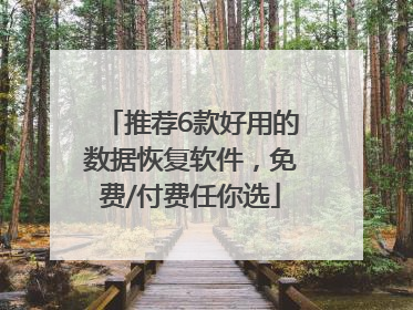 推荐6款好用的数据恢复软件，免费/付费任你选