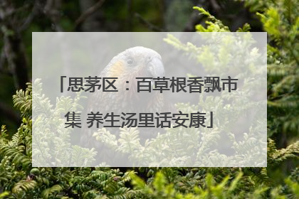 思茅区：百草根香飘市集 养生汤里话安康