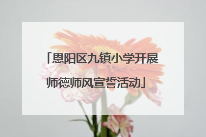 恩阳区九镇小学开展师德师风宣誓活动