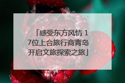 感受东方风情 17位上合旅行商青岛开启文旅探索之旅