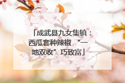 成武县九女集镇：西瓜套种辣椒 “一地双收”巧致富