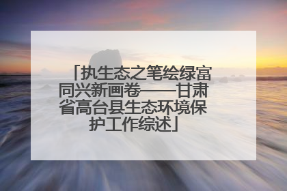 执生态之笔绘绿富同兴新画卷——甘肃省高台县生态环境保护工作综述