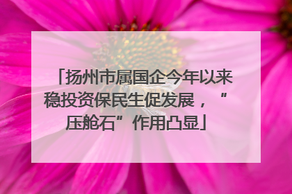 扬州市属国企今年以来稳投资保民生促发展，“压舱石”作用凸显