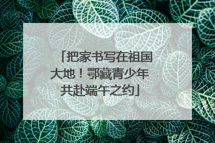 把家书写在祖国大地！鄂藏青少年共赴端午之约