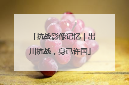 抗战影像记忆｜出川抗战，身已许国