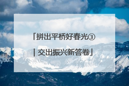 拼出平桥好春光③｜交出振兴新答卷
