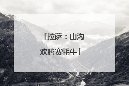 拉萨：山沟欢腾赛牦牛
