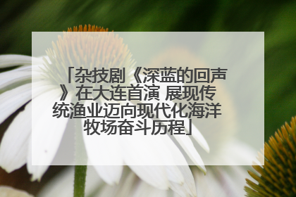 杂技剧《深蓝的回声》在大连首演 展现传统渔业迈向现代化海洋牧场奋斗历程