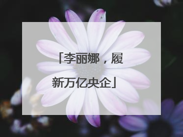李丽娜，履新万亿央企