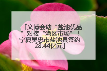 文博会助“盐池优品”对接“湾区市场”！宁夏吴忠市盐池县签约28.44亿元