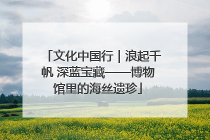 文化中国行｜浪起千帆 深蓝宝藏——博物馆里的海丝遗珍