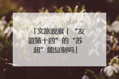文旅观察丨“友谊第十四”的“苏超”能复制吗