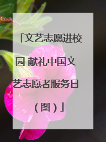 文艺志愿进校园 献礼中国文艺志愿者服务日（图）