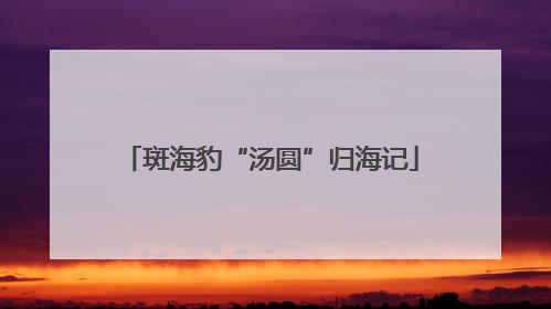 斑海豹“汤圆”归海记